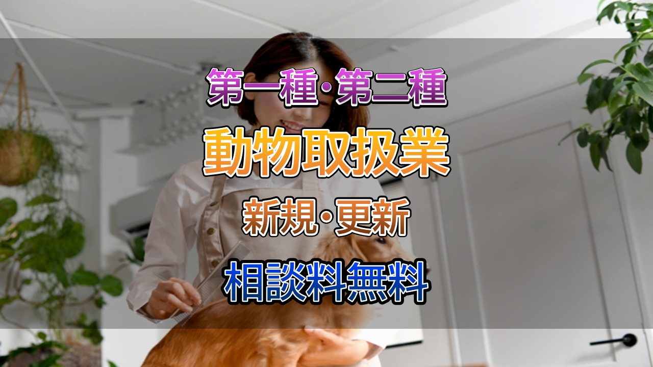 動物取扱業の取得は行政書士相川事務所へご相談ください